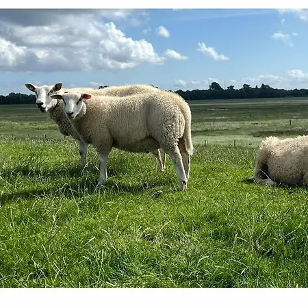Haus Merle Nyaraló Tossens