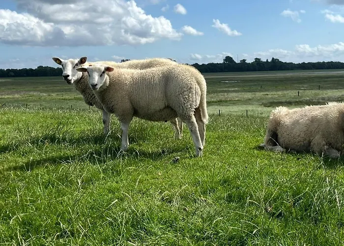 Haus Merle Nyaraló Tossens